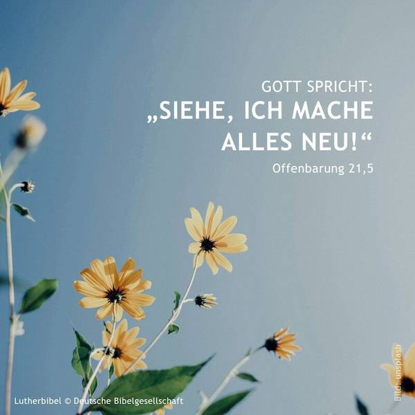 Quelle: Deutsche Bibel Gesellschaft