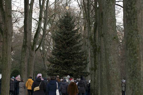 Menschen vorm Weihnachtsbaum am Ende einer Allee